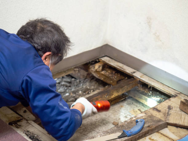 Best Mold Damage Repair  in Spooner, WI