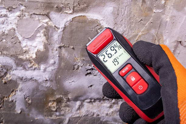 Best Home Mold Removal  in Spooner, WI