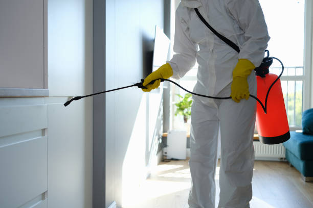 Best Local Mold Removal Service  in Spooner, WI