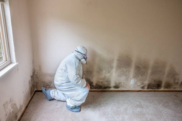 Best Mold Cleaning Services  in Spooner, WI