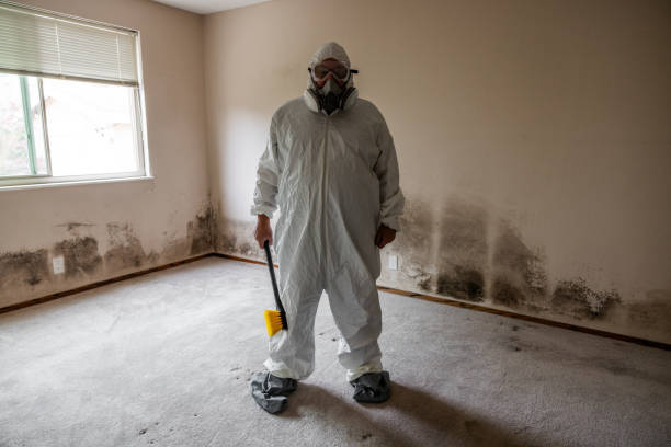 Best Crawl Space Mold Removal  in Spooner, WI